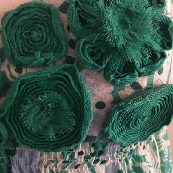 ICE Green and White Dress(10) Modern Jane Austen! - Picture 11 of 13